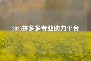 2025拼多多专业助力平台