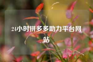 24小时拼多多助力平台网站