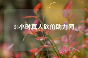 24小时真人砍价助力网