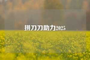 拼刀刀助力2025