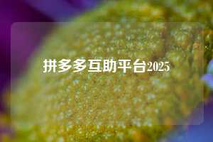 拼多多互助平台2025