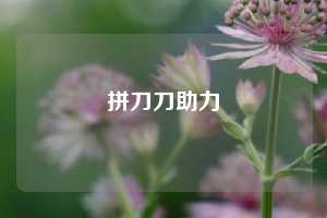 拼刀刀助力