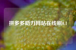 拼多多助力网站在线刷0.1