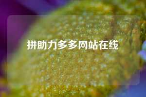 拼助力多多网站在线