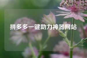 拼多多一键助力神器网站