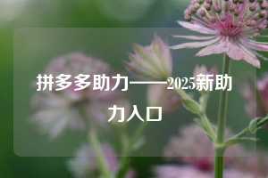 拼多多助力——2025新助力入口