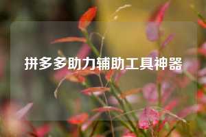 拼多多助力辅助工具神器