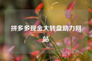 拼多多现金大转盘助力网站