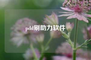 pdd刷助力软件