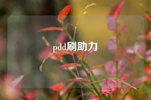 pdd刷助力