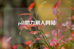 pdd助力刷人网站