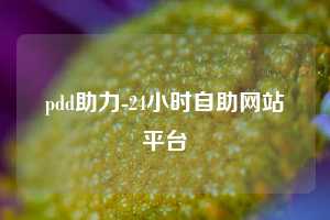 pdd助力-24小时自助网站平台