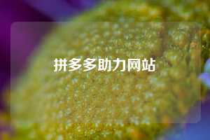 拼多多助力网站