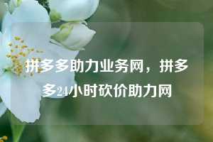拼多多助力业务网，拼多多24小时砍价助力网