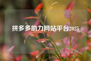 拼多多助力网站平台2025