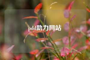 pdd助力网站
