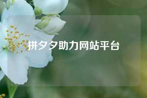 拼夕夕助力网站平台
