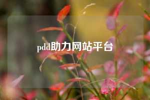 pdd助力网站平台