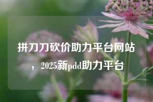 拼刀刀砍价助力平台网站，2025新pdd助力平台
