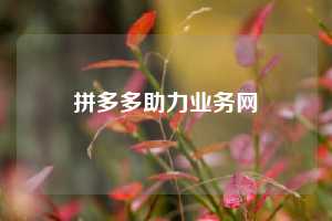 拼多多助力业务网