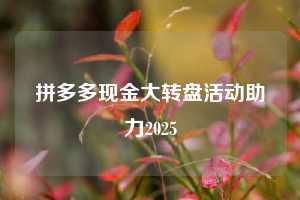 拼多多现金大转盘活动助力2025