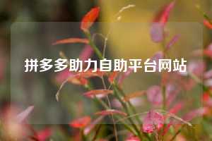 拼多多助力自助平台网站