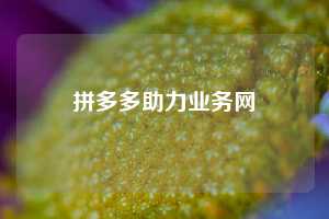 拼多多助力业务网