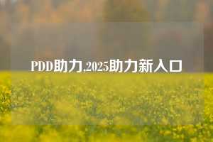 PDD助力,2025助力新入口