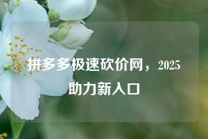 拼多多极速砍价网,2025助力新入口