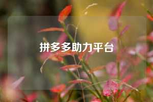 拼多多助力平台