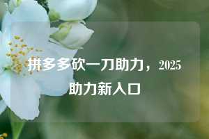 拼多多砍一刀助力，2025助力新入口