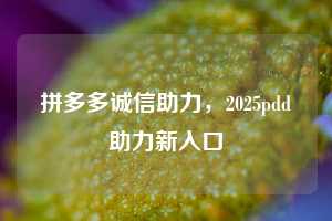 拼多多诚信助力，2025pdd助力新入口