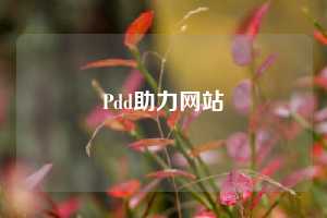Pdd助力网站