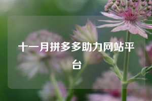 十一月拼多多助力网站平台
