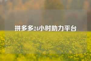 拼多多24小时助力平台