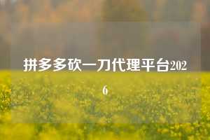 拼多多砍一刀代理平台2026