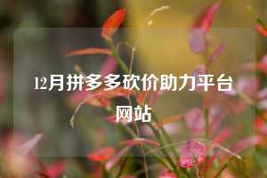 12月拼多多砍价助力平台网站