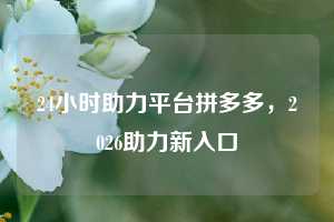 24小时助力平台拼多多，2026助力新入口