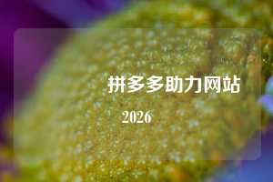 🌹拼多多助力网站2026