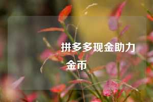 🪙拼多多现金助力金币