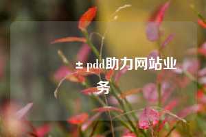 📱pdd助力网站业务