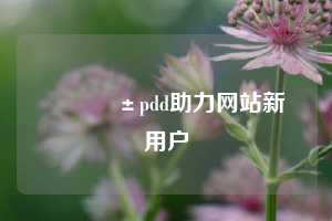 📱pdd助力网站新用户