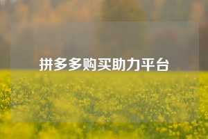 拼多多购买助力平台