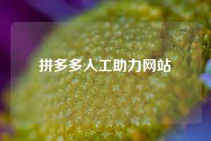 拼多多人工助力网站