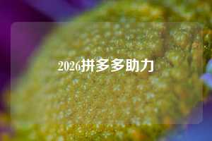2026拼多多助力