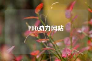 PDD助力网站