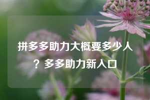 拼多多助力大概要多少人？多多助力新入口