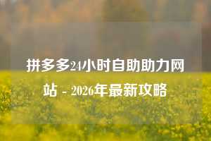 拼多多24小时自助助力网站 - 2026年最新攻略