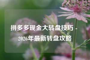 拼多多现金大转盘技巧 - 2026年最新转盘攻略
