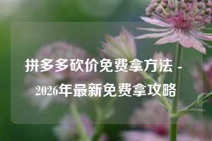 拼多多砍价免费拿方法 - 2026年最新免费拿攻略